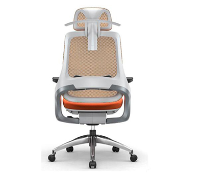 型號:SD-WY-GS-GT1WTY-C